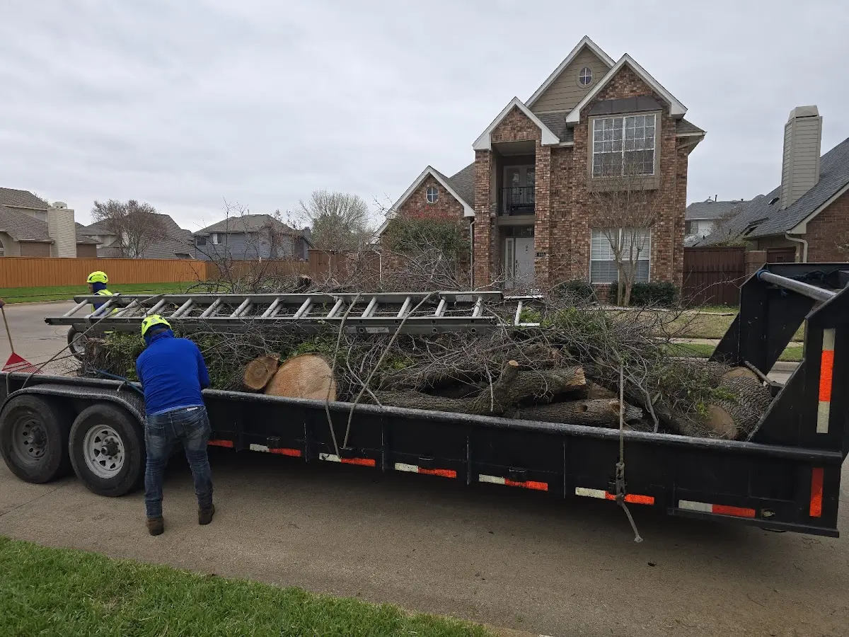 Expert Tree Removal with proper safety equipment in Whiting